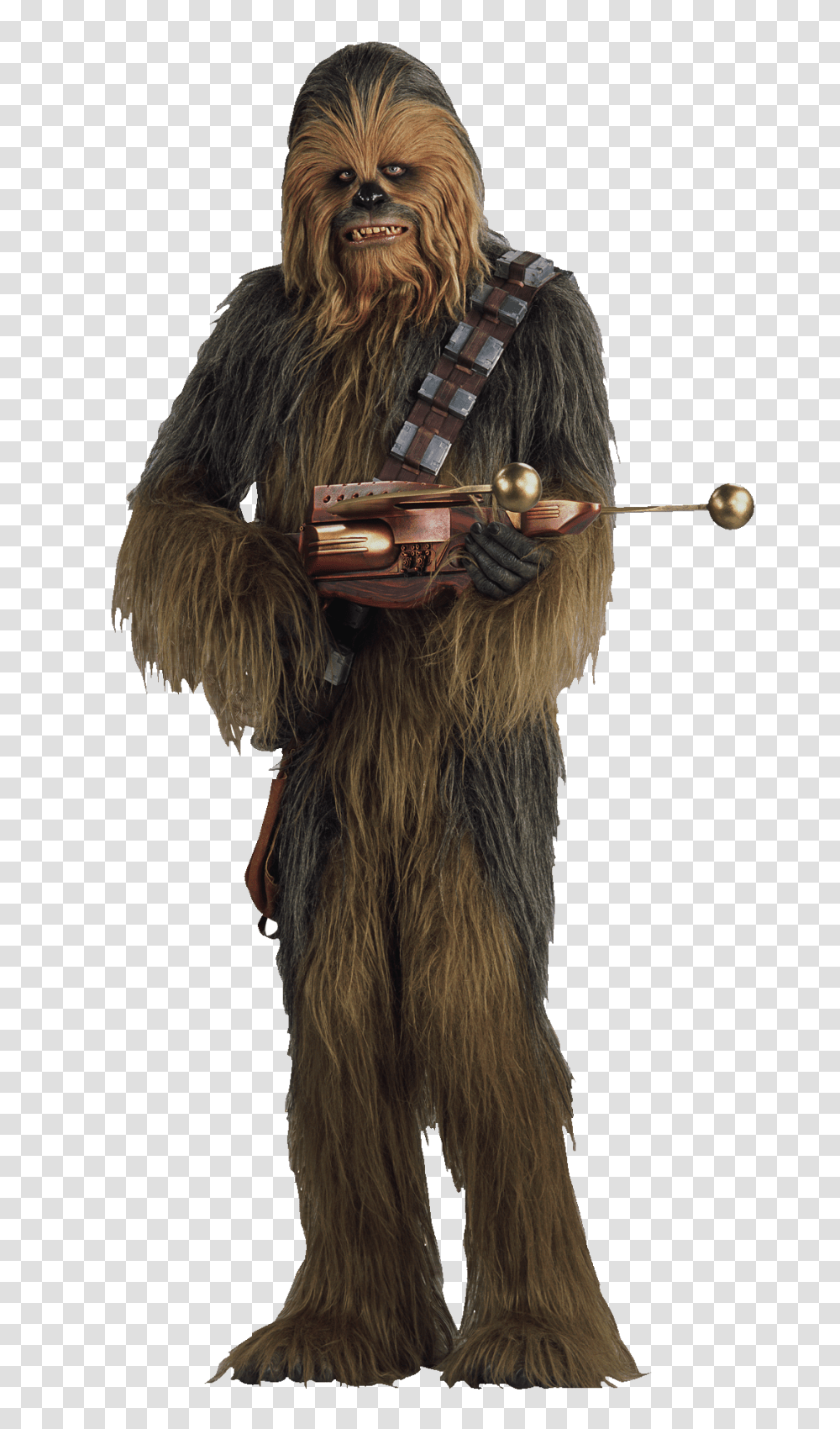 Starwars, Fantasy, Arrow, Person Transparent Png