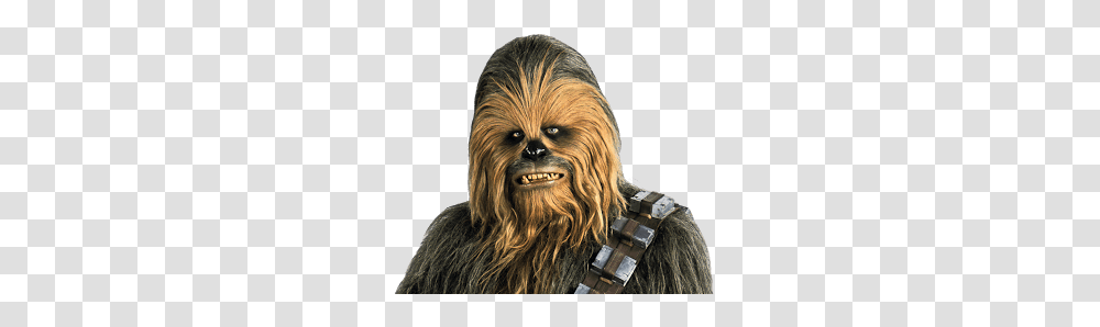 Starwars, Fantasy, Costume, Person, Head Transparent Png