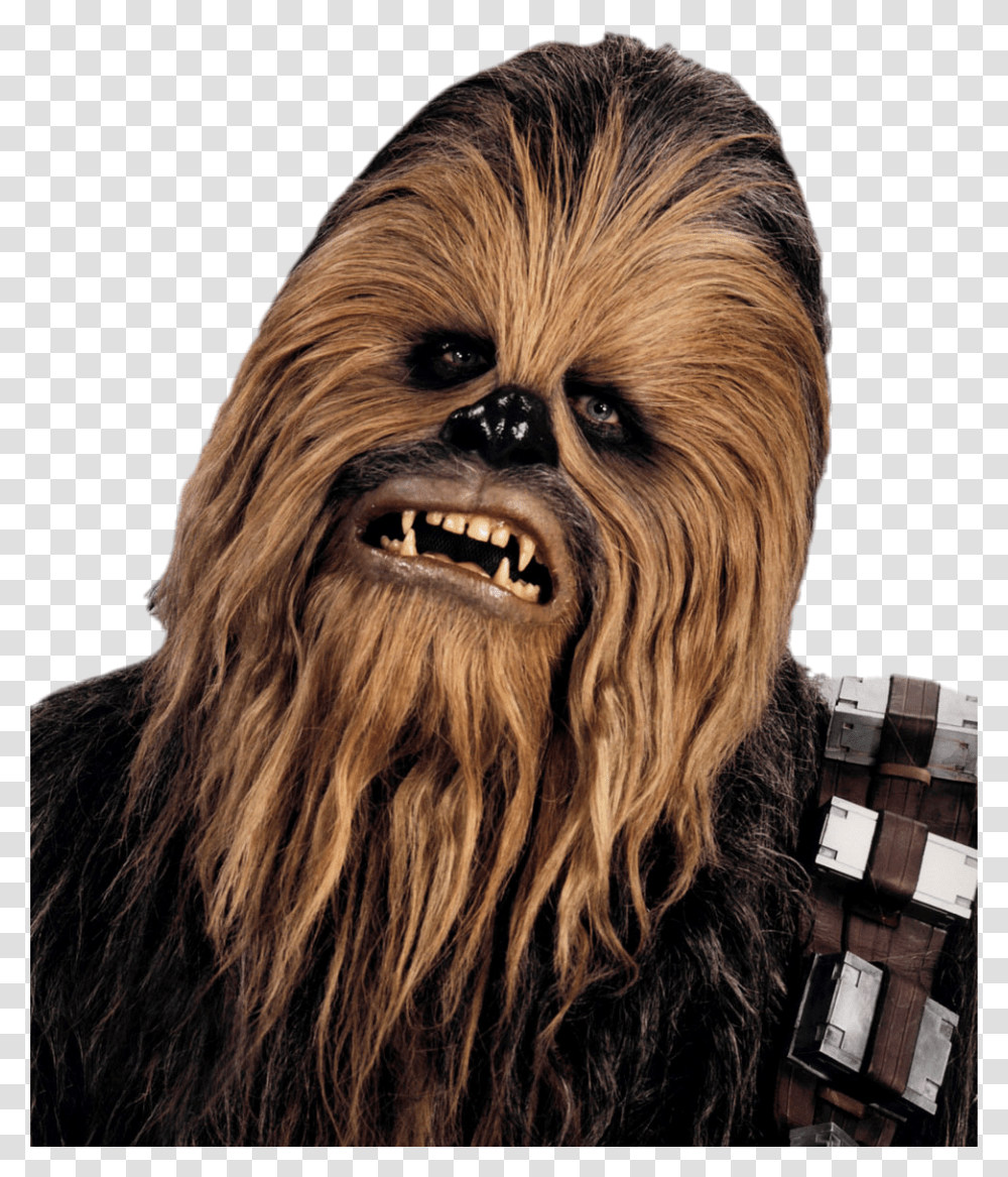 Starwars, Fantasy, Dog, Pet, Animal Transparent Png