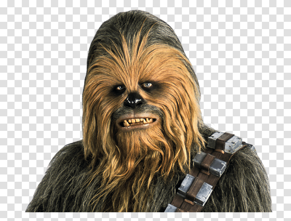 Starwars, Fantasy, Head, Face, Person Transparent Png
