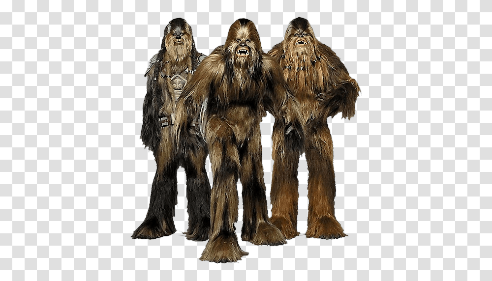 Starwars Images, Character, Painting, Fur Transparent Png