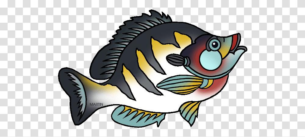 State Fish Of Illinois, Animal, Sea Life, Amphiprion, Puffer Transparent Png