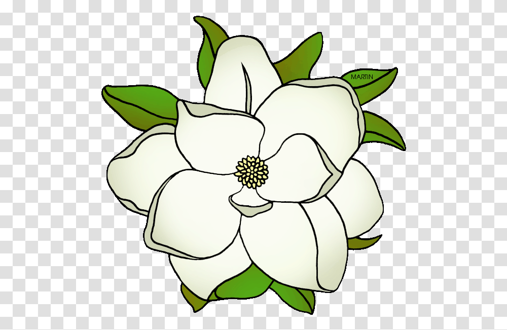 State Flower Of Mississippi Magnolia Flower Clip Art, Petal, Plant, Anther, Cushion Transparent Png