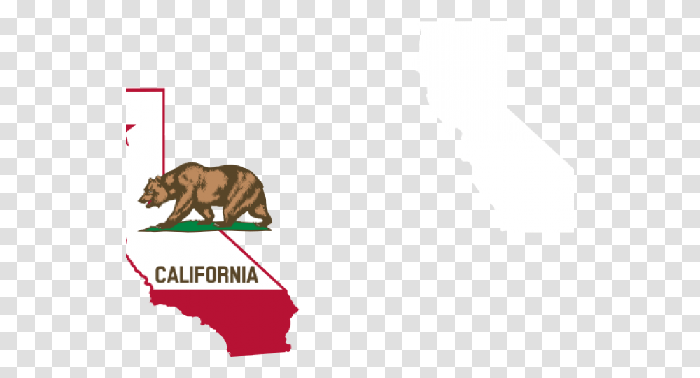 State Of California, Mammal, Animal, Bear, Wildlife Transparent Png