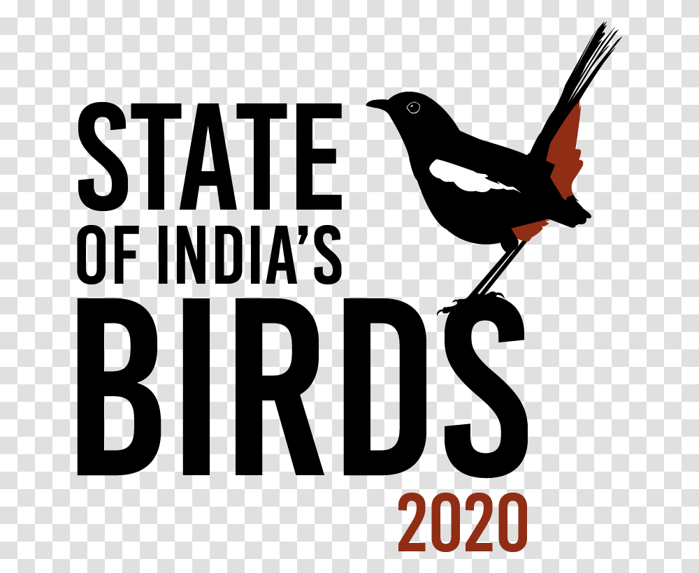 State Of India's Birds First Comprehensive Assessment Illustration, Animal, Mammal, Bat, Wildlife Transparent Png
