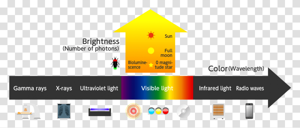 State Of Light Photons Of Light Diagram, Text, Scoreboard, Plot Transparent Png