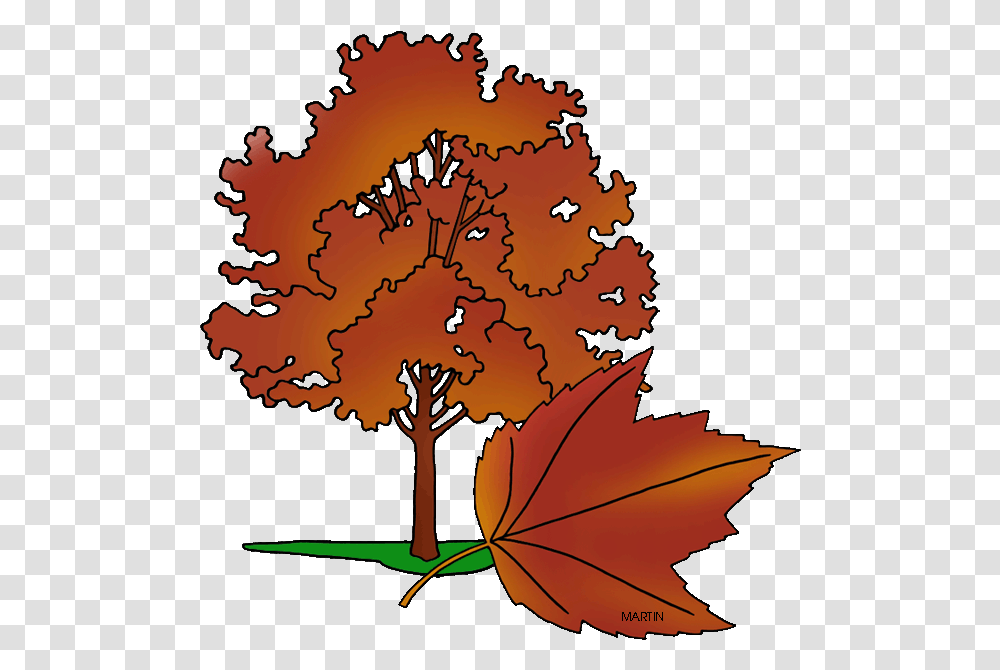 State Tree Of Rhode Island Red Maple Tree Clipart, Leaf, Plant, Maple Leaf, Oak Transparent Png