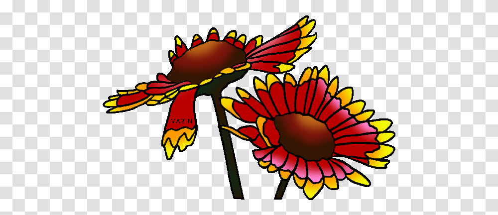 State Wild Flower Of Oklahoma, Plant, Pattern Transparent Png