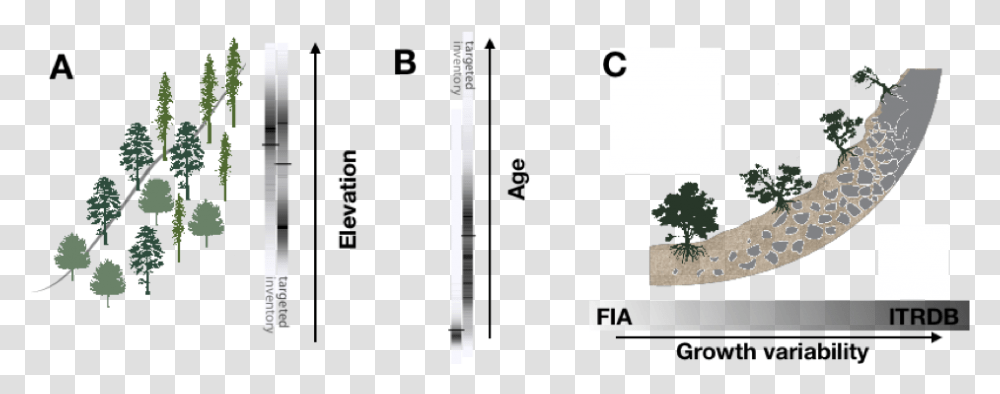 Statistical Graphics, Minecraft, Plot Transparent Png