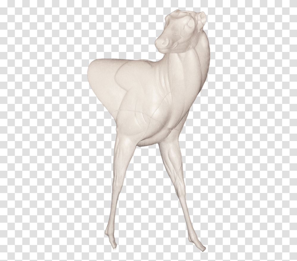 Statue, Person, Mammal, Animal Transparent Png