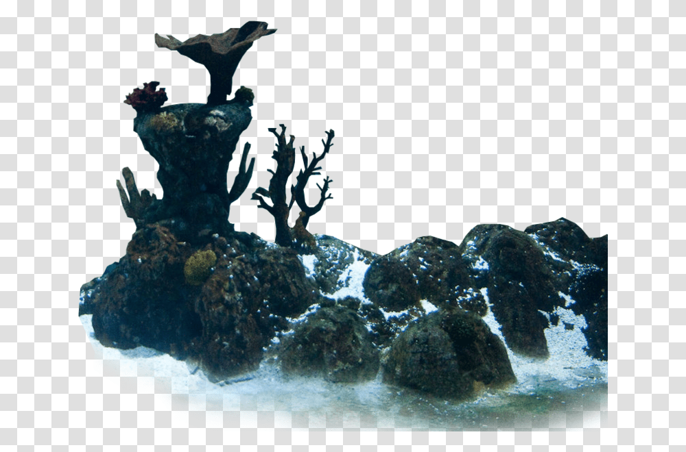 Statue, Sea, Outdoors, Water, Nature Transparent Png