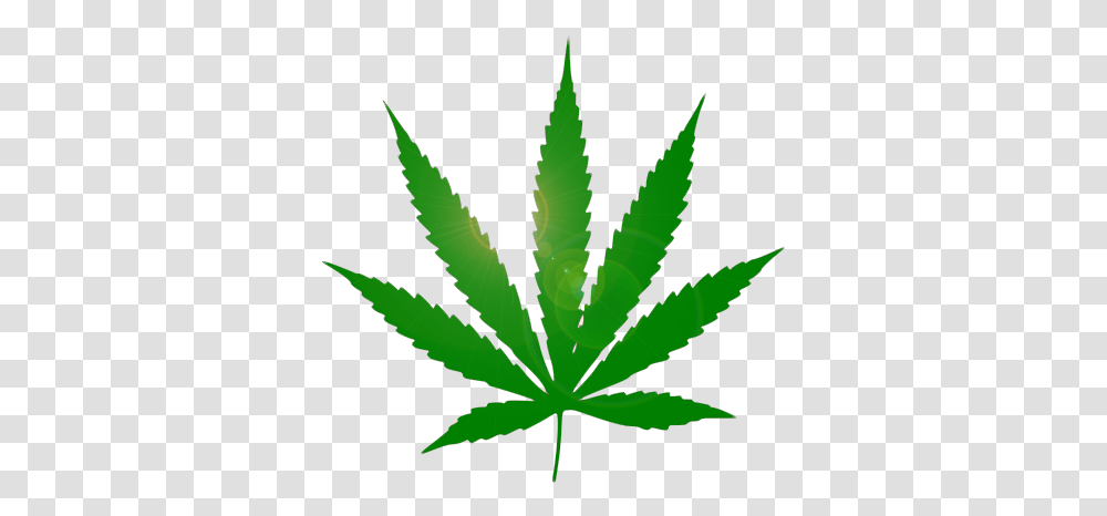 Stay High Wallpaper Iphone, Plant, Hemp, Weed Transparent Png