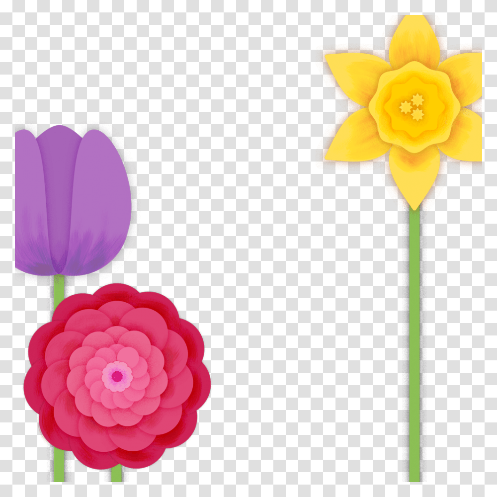 Steal These Spring And Easter Profile Picture Frames, Plant, Flower, Blossom, Dahlia Transparent Png