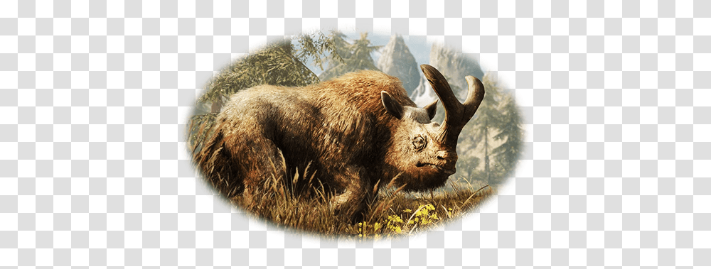 Steam Community Guide Rare Animals Of Oros Finding Far Cry Primal Animals, Pig, Mammal, Bear, Wildlife Transparent Png
