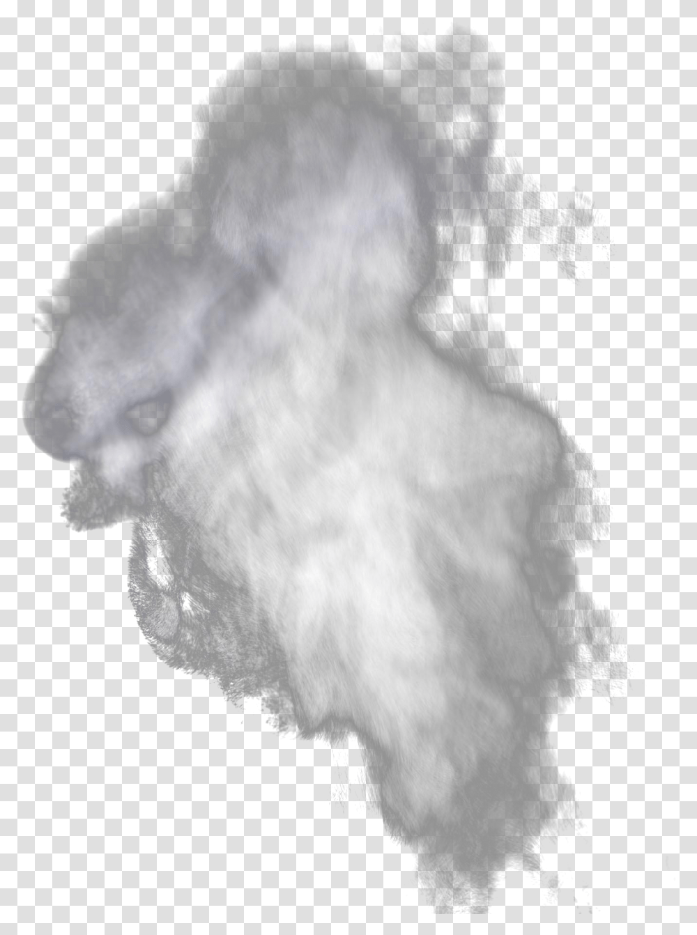 Steam Smoke Background Steam Gif, Bear, Wildlife, Mammal, Animal Transparent Png