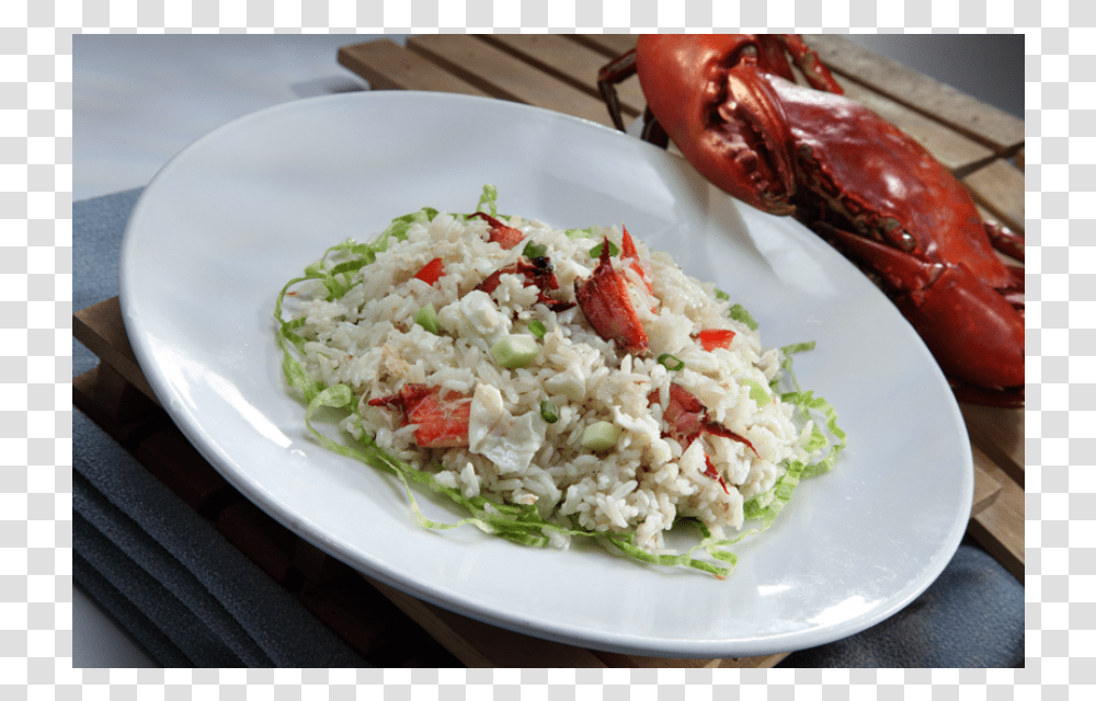 Steamed Rice, Lobster, Seafood, Sea Life, Animal Transparent Png