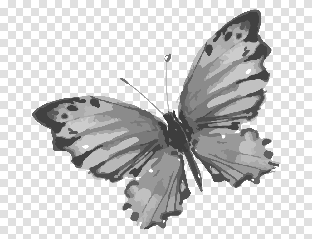 Steampunk Butterfly Dibujos De Tinta China De Animales, Insect, Invertebrate Transparent Png