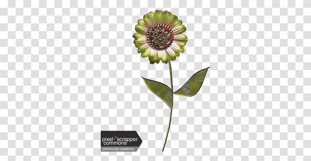 Steampunk Flower 03 Graphic By Gina Jones Pixel Scrapper Common Zinnia, Graphics, Art, Floral Design, Pattern Transparent Png