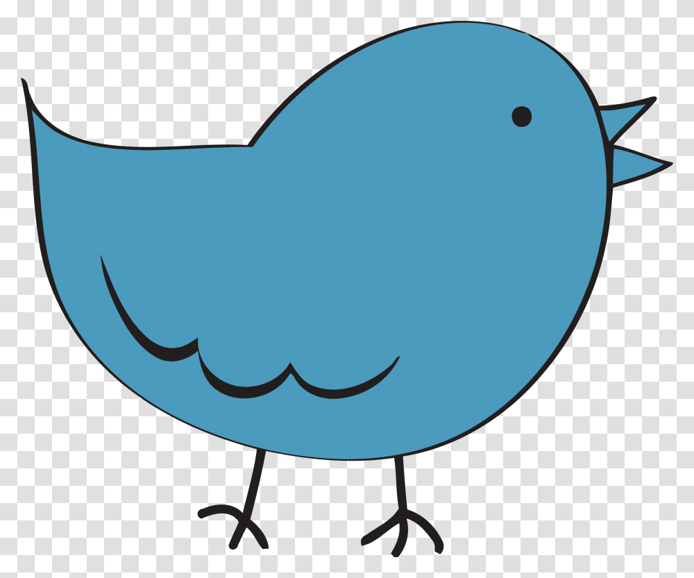 Steel Blue Cute Bird Fat Clipart, Sunglasses, Accessories, Animal, Plant Transparent Png