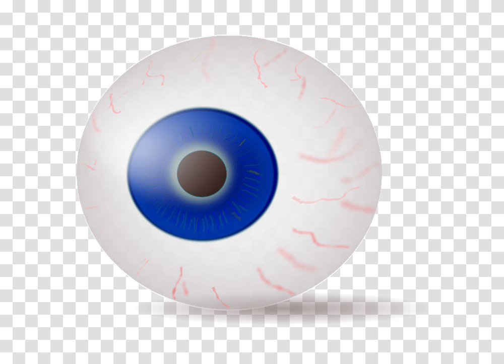 StefanvonHalenbach Eyeball Blue Realistic, Nature, Disk, Sphere, Dvd Transparent Png
