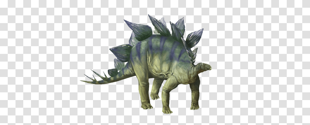 Stegosaurus Dinosaur, Fantasy, Reptile, Animal, T-Rex Transparent Png