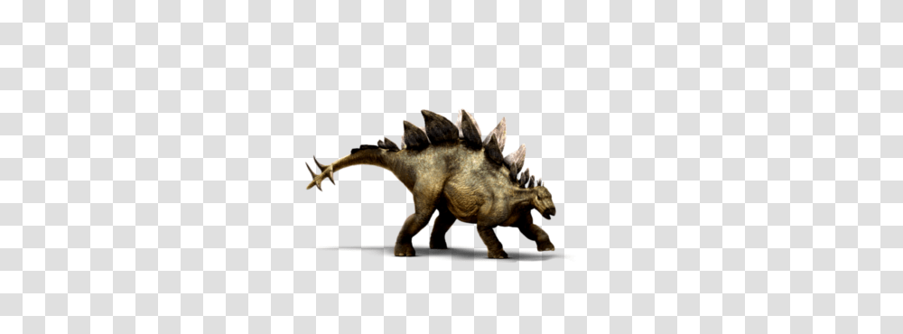 Stegosaurus, Dinosaur, Reptile, Animal, T-Rex Transparent Png