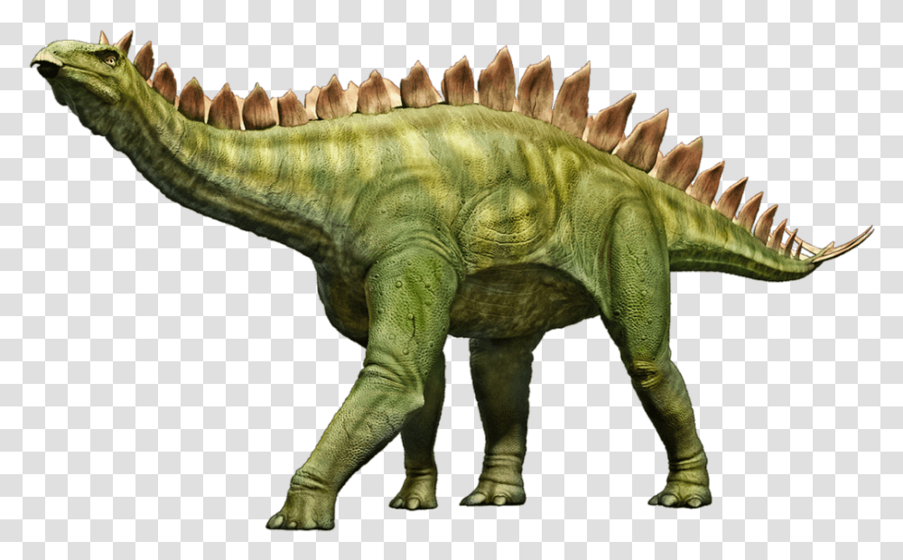 Stegosaurus Dinosaur Stego Dino Prehistoric, Reptile, Animal, T-Rex, Elephant Transparent Png