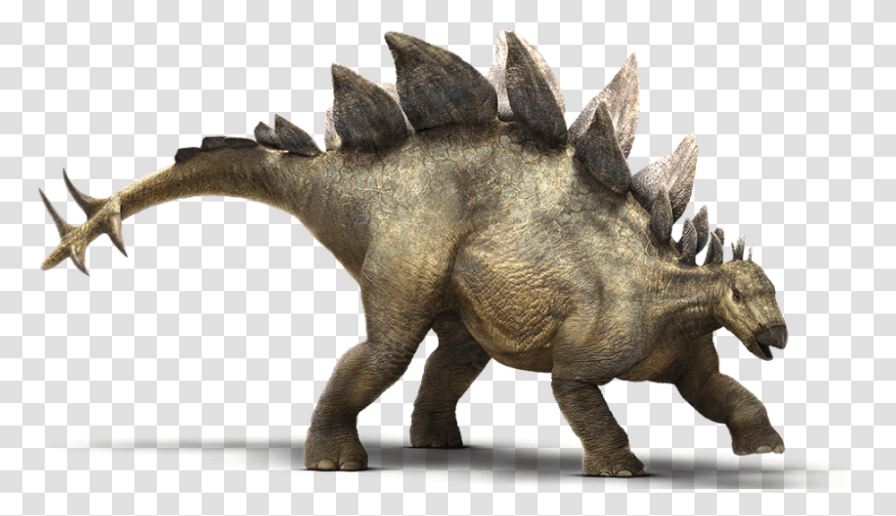 Stegosaurus Jurassic Park Dinosaurs, Reptile, Animal, T-Rex, Elephant Transparent Png
