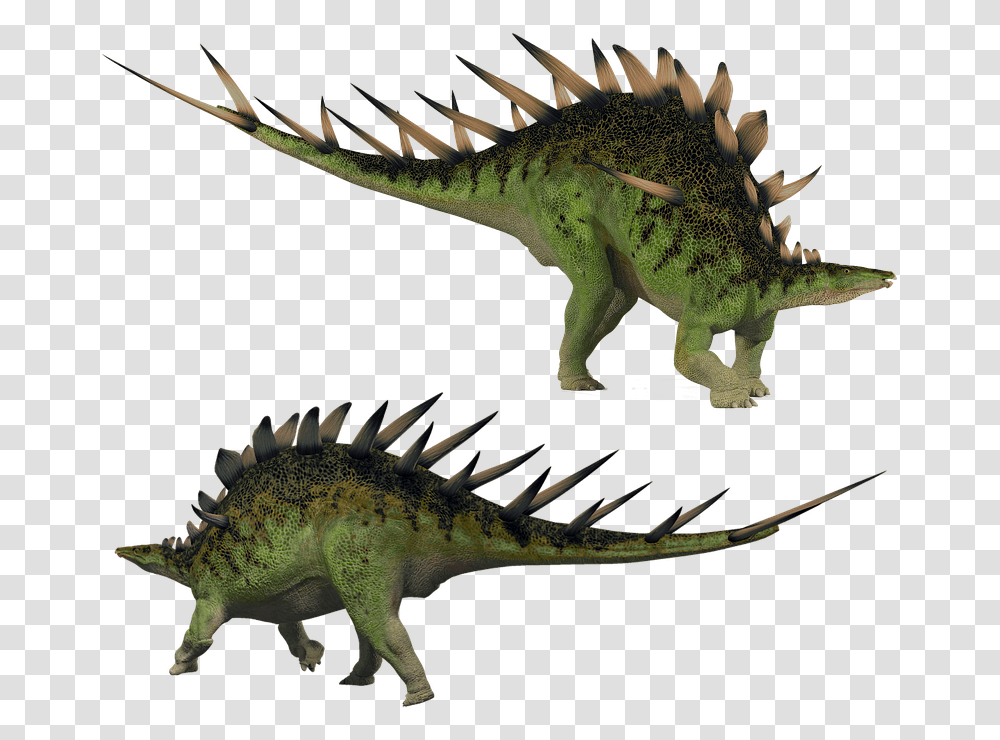 Stegosaurus Kentrosaurus Stegosaur Dino Dinosaur, Reptile, Animal, Lizard, Iguana Transparent Png