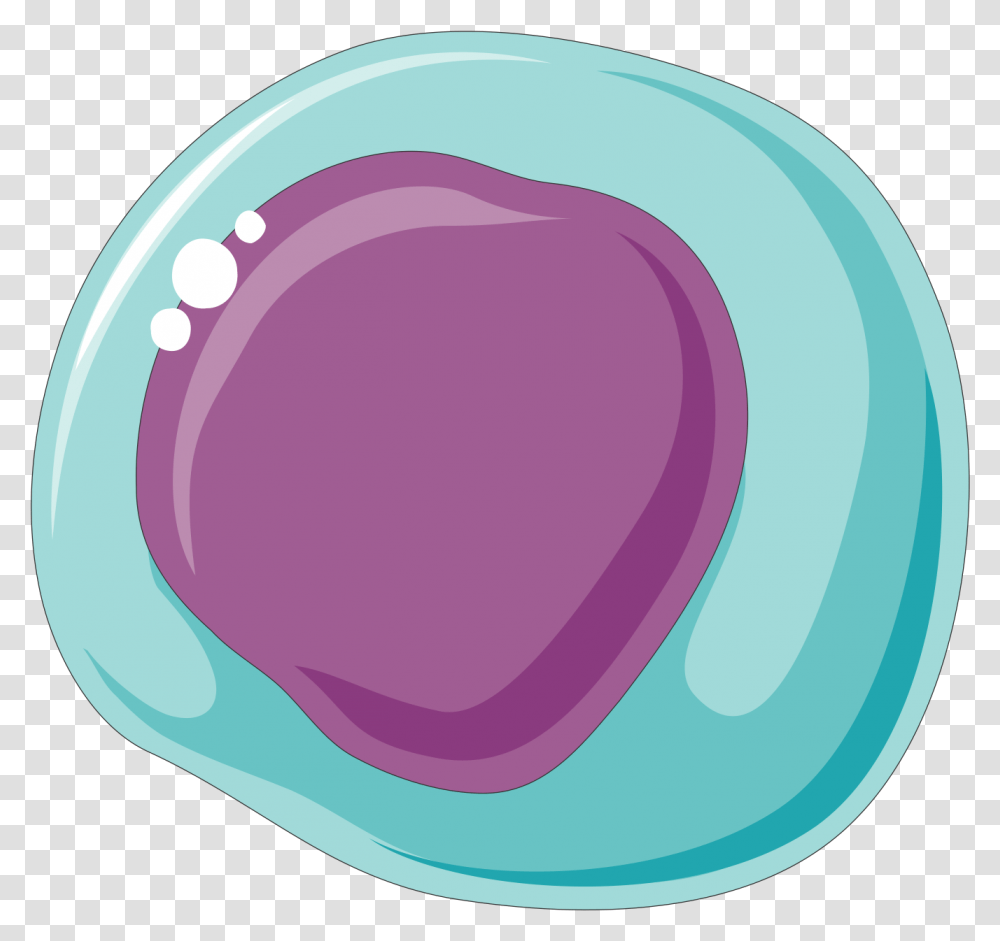 Stem Cells 1 Dot, Sphere, Bubble, Rug, Food Transparent Png