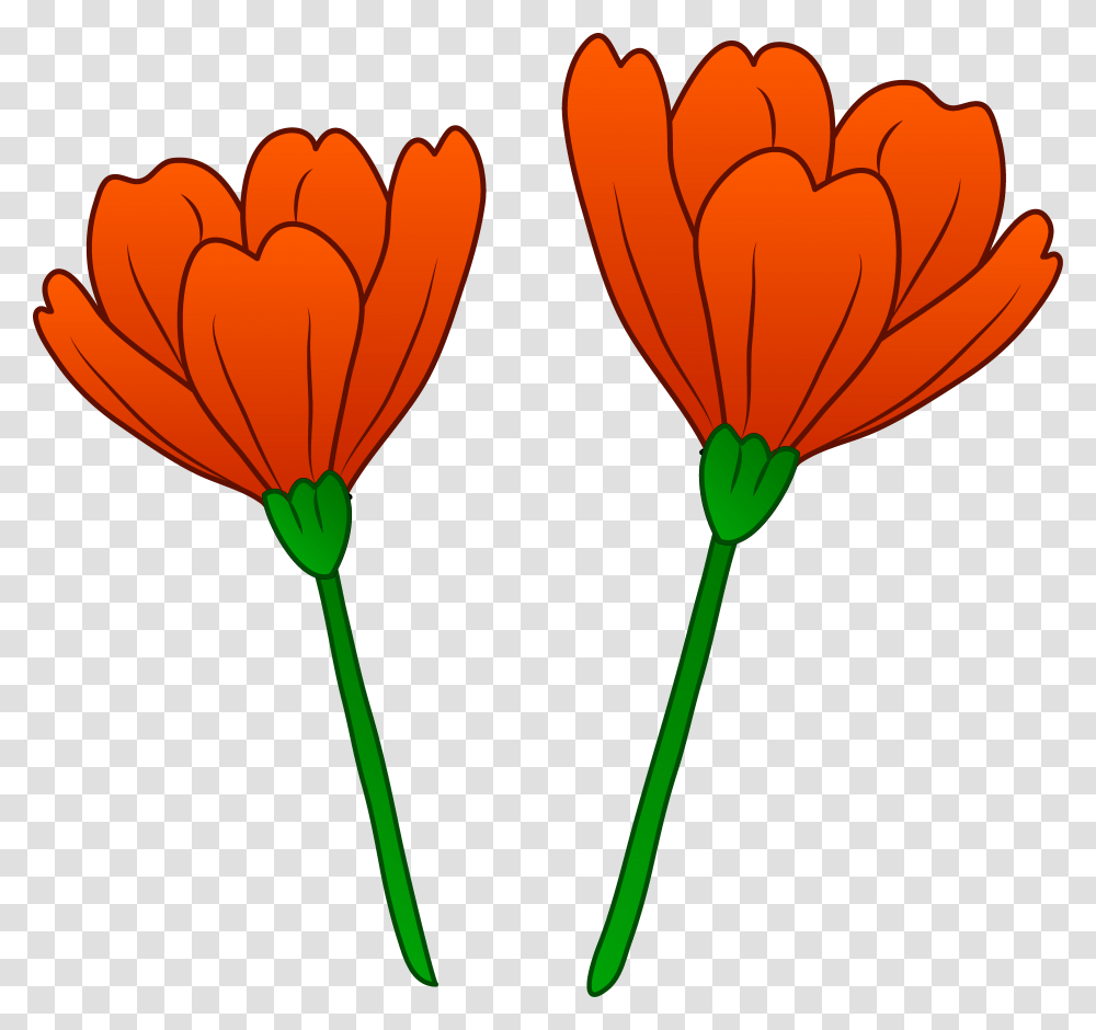 Stem Clipart Two, Plant, Flower, Blossom, Tulip Transparent Png