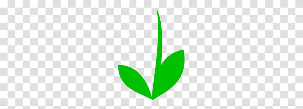 Stem Green Clip Art, Leaf, Plant, Aloe Transparent Png