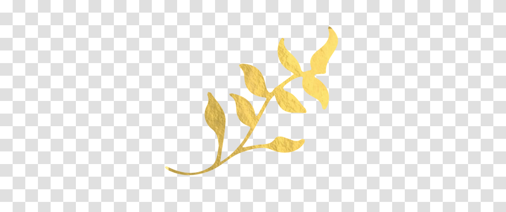 Stem Images Vectors And Free Download, Plant, Leaf, Flower, Blossom Transparent Png