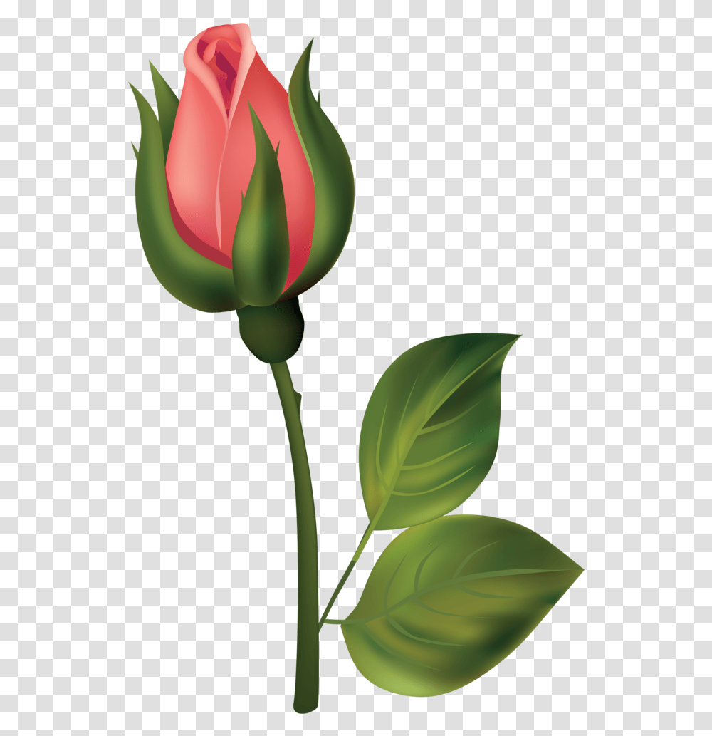 Stem Red Rose Bud Clipart Flower Bud Bud Clipart, Plant, Blossom Transparent Png