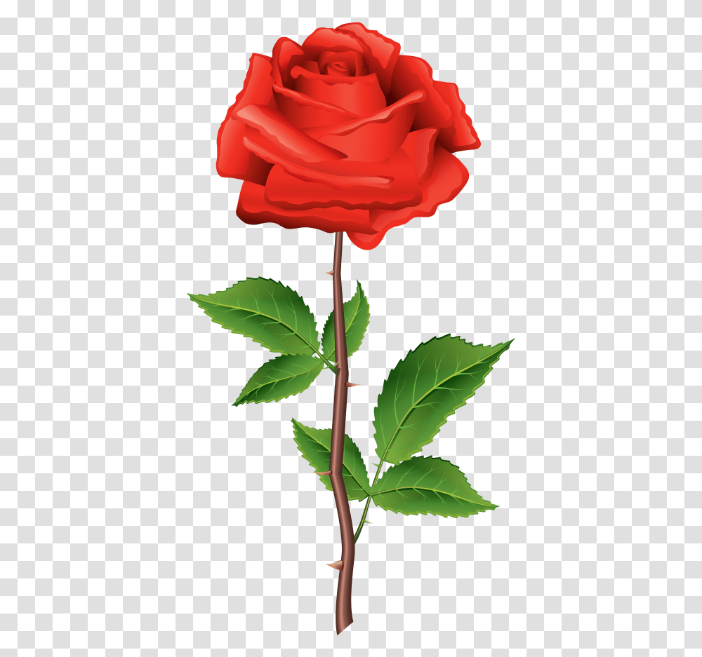 Stem Red Rose Clipart Photo Flower With Stem, Plant, Blossom, Leaf, Poppy Transparent Png