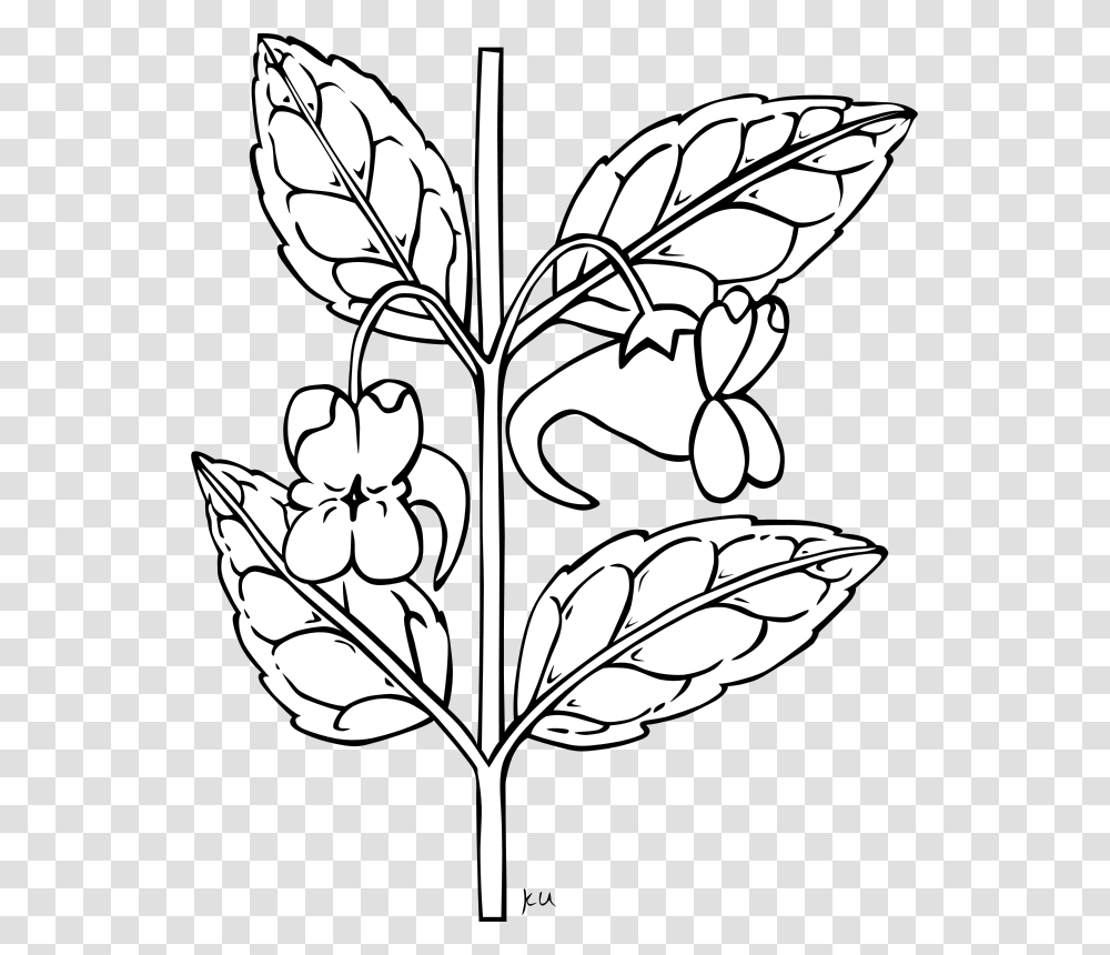 Stem With Flower Outline Clip Art Vector Clip Clipart Flower Stem Outline, Leaf, Plant, Stencil, Graphics Transparent Png