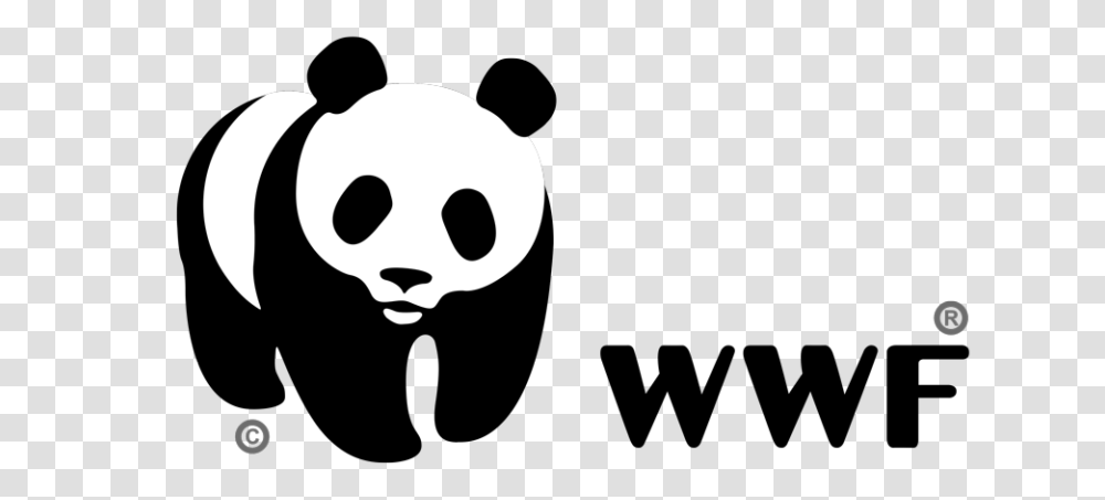 Stencil, Giant Panda, Bear, Wildlife Transparent Png