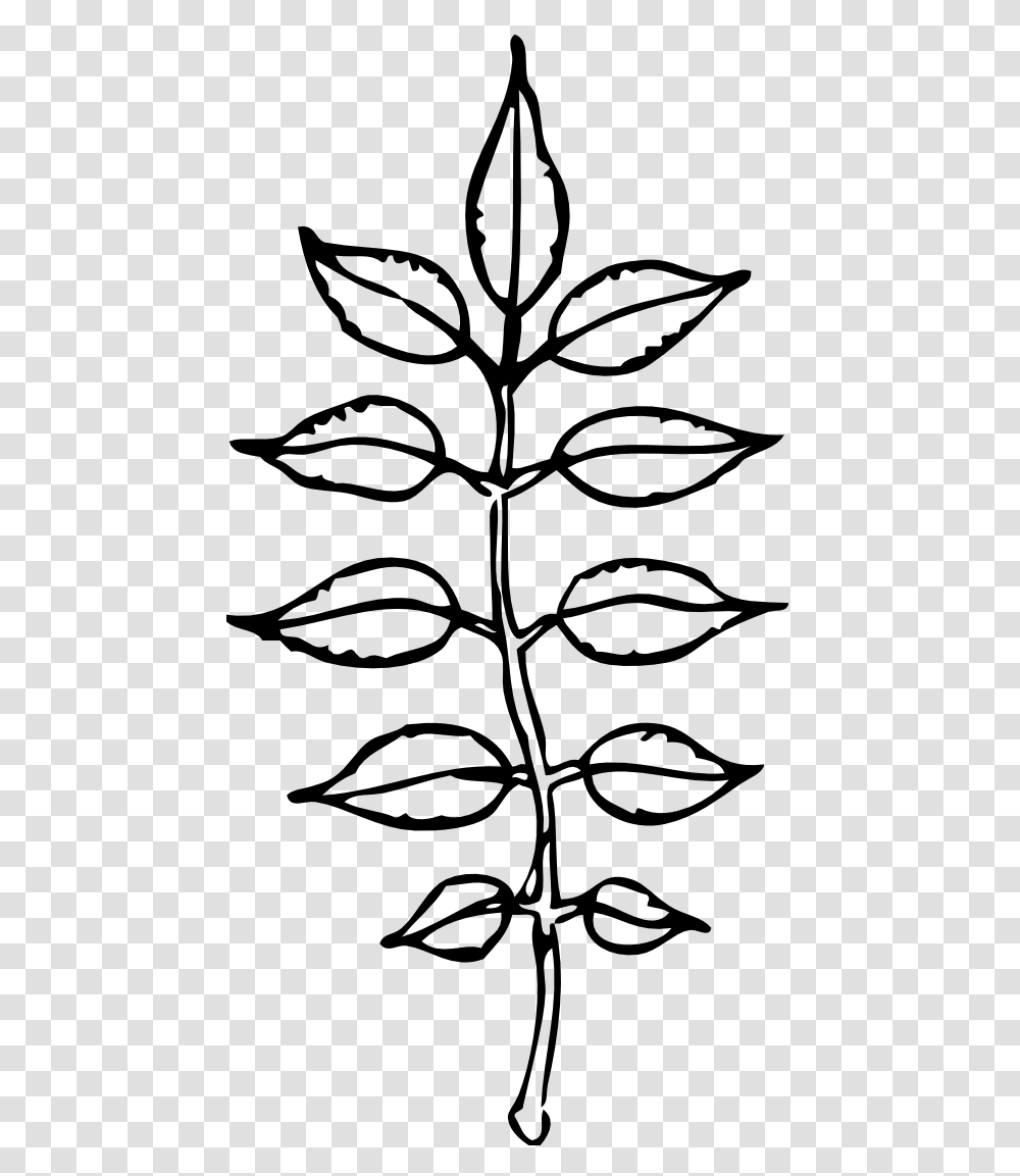 Stencil, Plant, Scissors, Blade Transparent Png