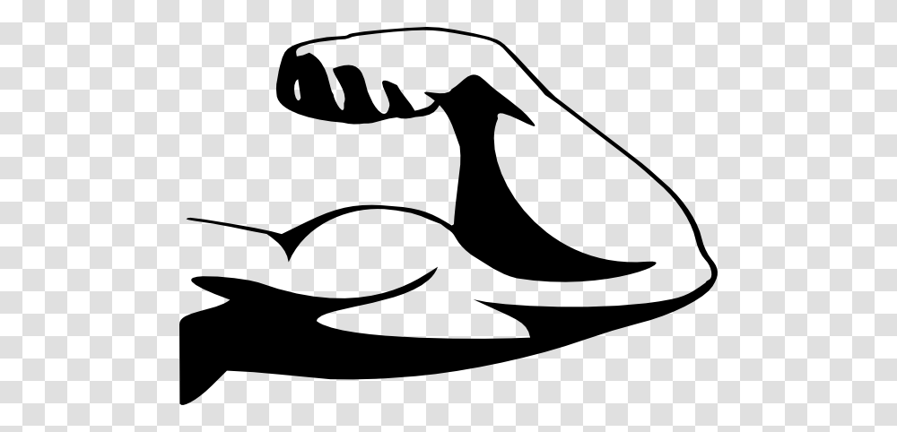 Stencil, Mustache Transparent Png