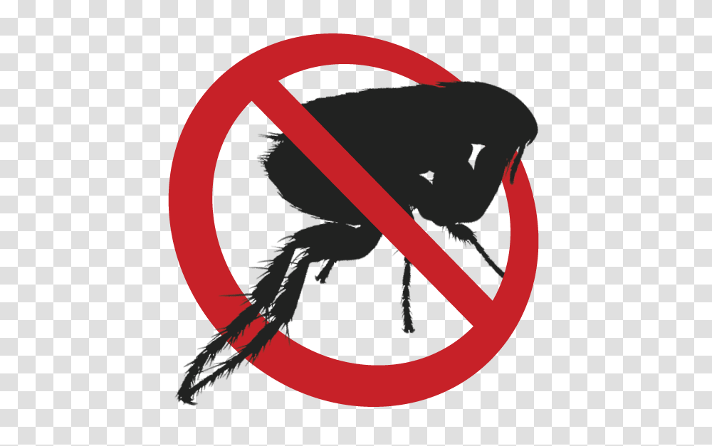 Step, Sign, Plant, Road Sign Transparent Png