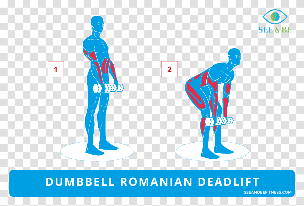 Step Up Knee Raise Muscles Worked, Person Transparent Png
