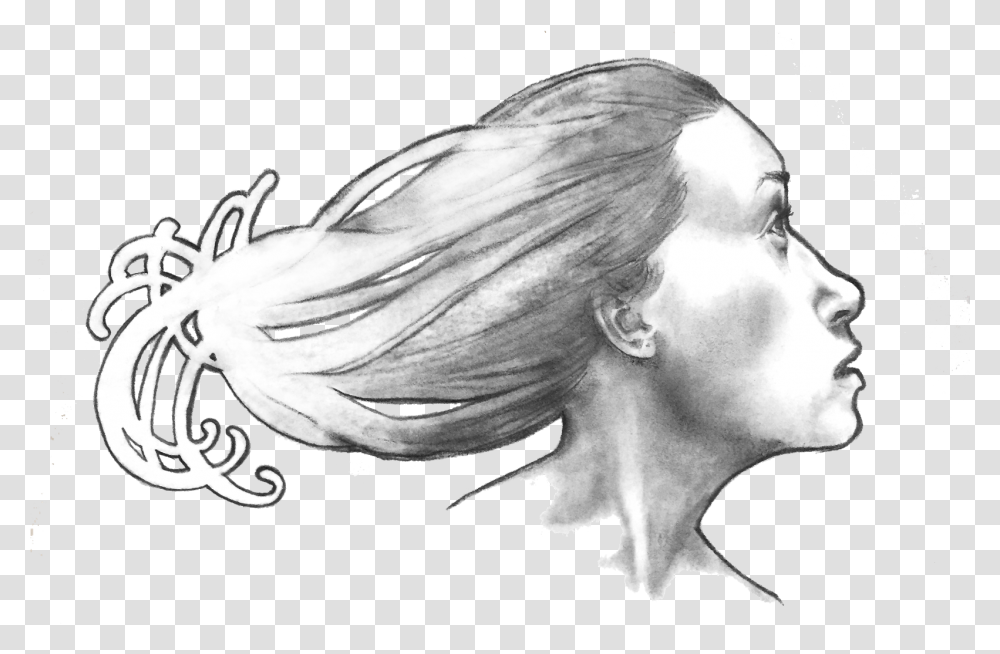 Steph Guidera Artist Sketch, Person, Drawing, Face, Photography Transparent Png