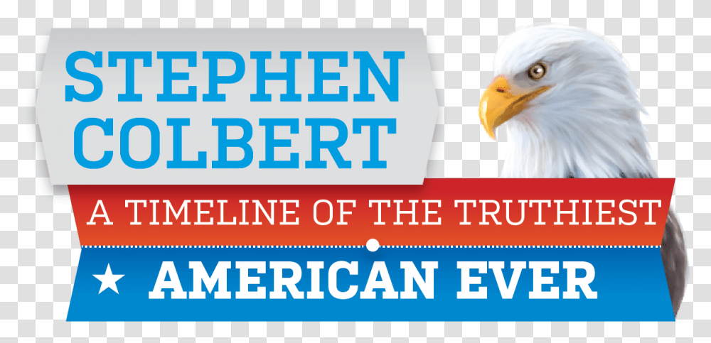 Stephen Colbert Featured Aparados Da Serra National Park, Eagle, Bird, Animal, Bald Eagle Transparent Png