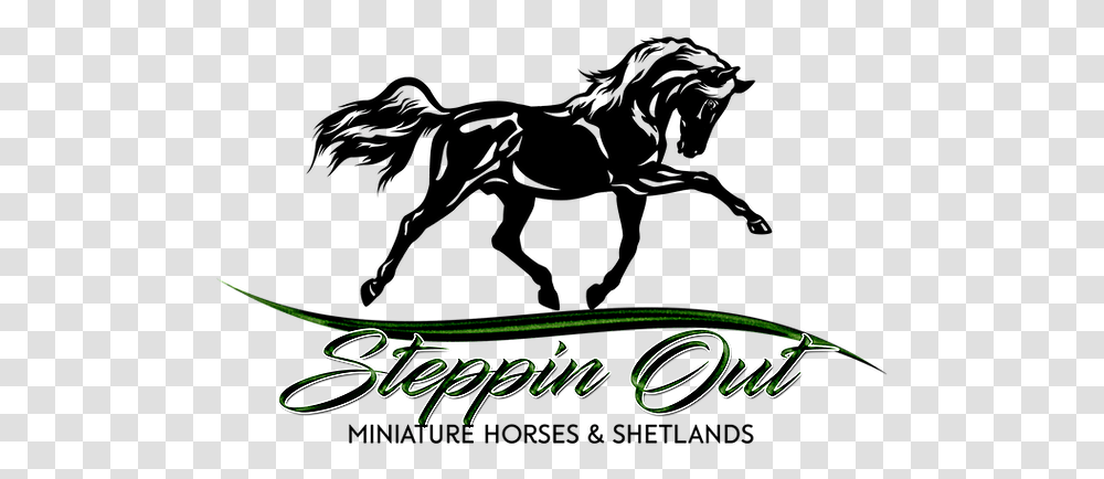Steppin Out Miniature Horses And Shetlands Amhr Aspc California Animal Figure, Text, Label, Logo, Symbol Transparent Png