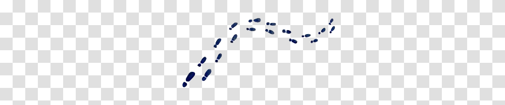 Steps For A Crime Scene Transparent Png