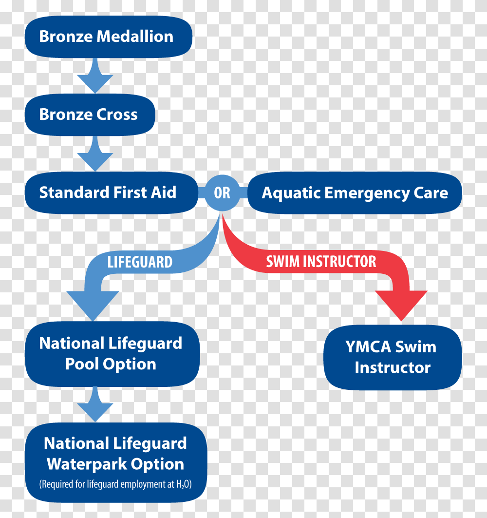 Steps To Become A Lifeguard Or Swim Instructor Become A Lifeguard In Canada, Number, Architecture Transparent Png