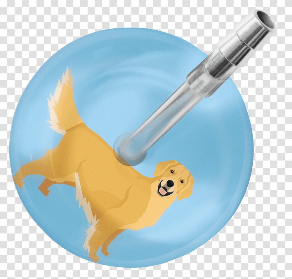 Stethoscope, Animal, Injection, Paint Container Transparent Png