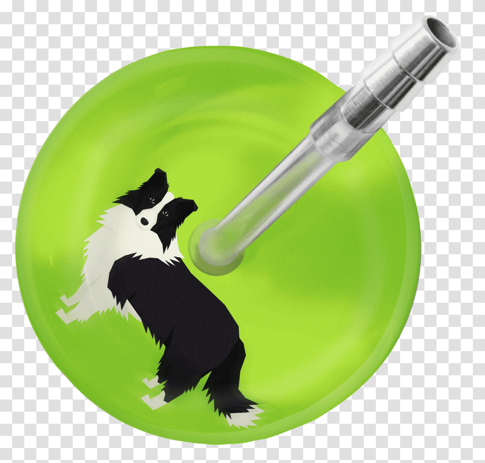 Stethoscope, Bird, Animal, Ashtray Transparent Png