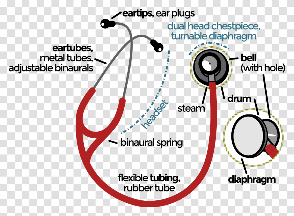 Stethoscope Parts And Functions Pdf, Electronics, Gauge, Electrical Device Transparent Png