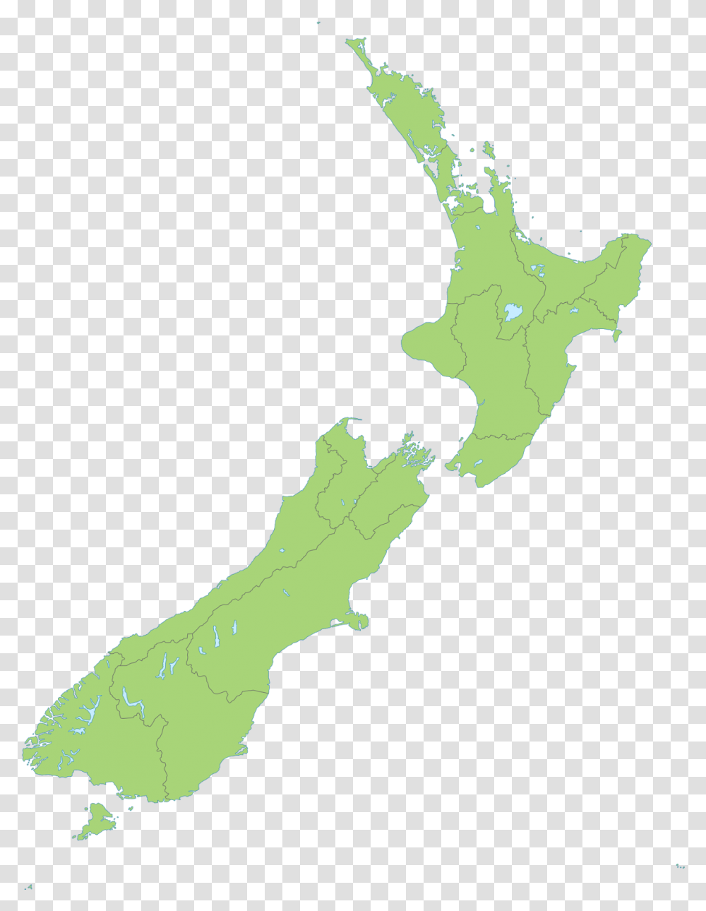 Steve Buscemi Eyes Map New Zealand, Person, Human, Leaf, Plant Transparent Png